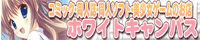 ホワイトキャンバス